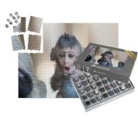 puzzleYOU : Smart Sorted® | Puzzle Photo 1000 pièces « Un Petit Singe dans la forêt, Thaïlande »