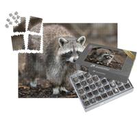 puzzleYOU : Smart Sorted® | Puzzle Photo 1000 pièces « Un Raton Laveur parcourt Un Jardin »