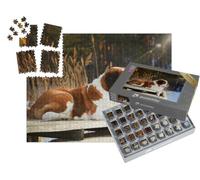 puzzleYOU : Smart Sorted® | Puzzle Photo 1000 pièces « Un Saint-Bernard couché sur Un Ponton en Bois en Hiver »