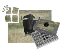 puzzleYOU : Smart Sorted® | Puzzle Photo 1000 pièces « Un Taureau Noir avec de Grandes Cornes dans Le Champ »