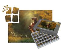 puzzleYOU : Smart Sorted® | Puzzle Photo 1000 pièces « Un Teckel en Promenade Le Soir »