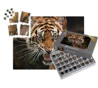 puzzleYOU : Smart Sorted® | Puzzle Photo 1000 pièces « Un Tigre de Sumatra en Chasse »