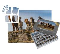puzzleYOU : Smart Sorted® | Puzzle Photo 1000 pièces « Un Troupeau de Chevaux islandais dans Le Vent Rude »