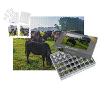 puzzleYOU : Smart Sorted® | Puzzle Photo 1000 pièces « Un Troupeau de Vaches Noires Aberdeen Angus dans l'herbe Verte »