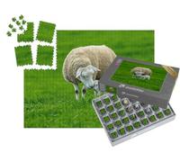 puzzleYOU : Smart Sorted® | Puzzle Photo 1000 pièces « Une brebis et Son Agneau Nouveau-né »
