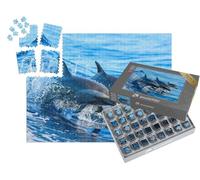 puzzleYOU : Smart Sorted® | Puzzle Photo 1000 pièces « Une Famille de Dauphins tachetés Saute Hors des eaux claires au Large d'Hawaï »