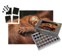 puzzleYOU : Smart Sorted® | Puzzle Photo 1000 pièces « Une Femelle Orang-outan et Son bébé dans la forêt Tropicale »