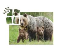 puzzleYOU : Smart Sorted® | Puzzle Photo 1000 pièces « Une Femelle Ours Brun avec Deux oursons »