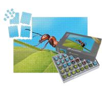 puzzleYOU : Smart Sorted® | Puzzle Photo 1000 pièces « Une Fourmi se détend dans l'herbe »