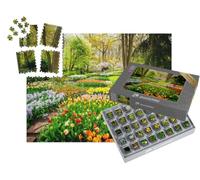 puzzleYOU : Smart Sorted® | Puzzle Photo 1000 pièces « Une mer de Tulipes colorées dans Le Parc »