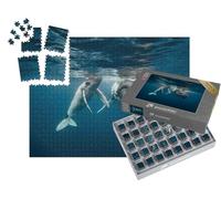 puzzleYOU : Smart Sorted® | Puzzle Photo 1000 pièces « Une mère Baleine à Bosse et Son baleineau dans des eaux cristallines »
