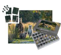 puzzleYOU : Smart Sorted® | Puzzle Photo 1000 pièces « Une mère très occupée : Une ourse Brune d'Alaska avec Trois adorables Petits »