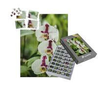 puzzleYOU : Smart Sorted® | Puzzle Photo 1000 pièces « Une orchidée en Fleur du Genre Phalaenopsis »