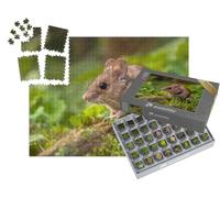 puzzleYOU : Smart Sorted® | Puzzle Photo 1000 pièces « Une Petite Souris des Bois Toute Mignonne »