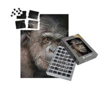 puzzleYOU : Smart Sorted® | Puzzle Photo 1000 pièces « Une Photo Portrait d'un chimpanzé Femelle »