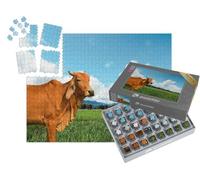 puzzleYOU : Smart Sorted® | Puzzle Photo 1000 pièces « Vache dans Un pâturage Vert et juteux »