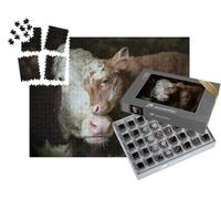 puzzleYOU : Smart Sorted® | Puzzle Photo 1000 pièces « Vache et Veau se câlinent dans l'étable »