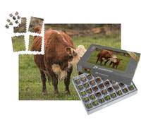 puzzleYOU : Smart Sorted® | Puzzle Photo 1000 pièces « Vache mère et Veau »