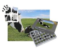 puzzleYOU : Smart Sorted® | Puzzle Photo 1000 pièces « Vache mère Holstein avec Son Veau Nouveau-né »