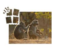 puzzleYOU : Smart Sorted® | Puzzle Photo 1000 pièces « Vie de Famille chez Les babouins Chacma, Parc National Kruger, Afrique du Sud »