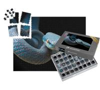 puzzleYOU : Smart Sorted® | Puzzle Photo 1000 pièces « Vipère Bleue sur la Branche prête à attaquer Une Proie »