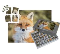 puzzleYOU : Smart Sorted® | Puzzle Photo 1000 pièces « Vulpes Vulpes : Renard Roux dans la Neige, Bokeh »