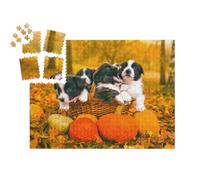 puzzleYOU : Smart Sorted® | Puzzle Photo 1000 pièces « Welsh Corgi Pembroke Chiots en Automne »