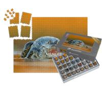 puzzleYOU : Smart Sorted® | Puzzle Photo 1000 pièces « Yacare Caiman, Crocodile au museau Ouvert et aux Grandes Dents »