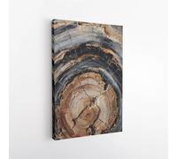 PVPQPR Impression sur toile représentant un anneau d'arbre en bois pétrifié|Décoration murale rustique abstraite|Décoration bohème naturelle pour la maison,prête à accrocher (80 x 120 cm avec cadre)