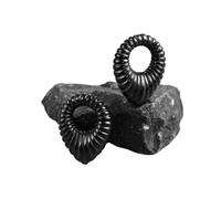 PVUVTNAHW Cintre de poids d'oreille en acier inoxydable, 2 pièces, for oreilles percées, cerceau de 2G 6mm, Piercing, bijoux de corps for femmes(Svart)