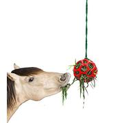 PW TOOLS 1 Pc Cheval Traiter Balle Mangeoire À Foin Jouet Chèvre Mangeoire Boule Suspendre Jouet d'alimentation pour Cheval Cheval Chèvre Mouton Soulager Le Stress, Cheval Stable Stand Paddock Rest