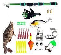 PW TOOLS Ensemble Canne et Moulinet - Cannes à pêche avec Moulinet - Canne à pêche télescopique et moulinets, Canne à pêche d'eau Douce salée mer