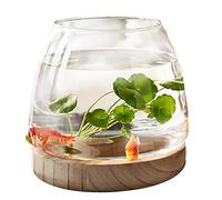 PW TOOLS Mini Aquarium, Bocal À Poisson en Verre, Petit Aquarium Rond en Verre Transparent avec Base en Bois, Vase pour Hydroponique, pour Décoration De Bureau À Domicile