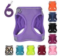 PWOD Harnais pour chien avec laisse, harnais réfléchissant anti-traction pour animal domestique avec 1 clip pour laisse, gilet réglable, rembourré et facile pour promener les chiens de petite, moyenne