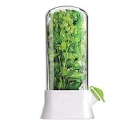 Pwshymi Conservateur de Légumes pour Réfrigérateur, 13 X 27 Cm, Conservation de la Fraîcheur des Récipients à Légumes, Dosette en Plastique pour Conserver les, pour Menthe