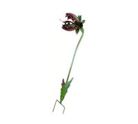 Pyasuye Piquet de jardin carnivore en fer rouillé en forme de fleur pour décoration extérieure extérieure ornement floral piquet accessoires carnivore