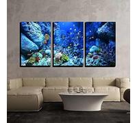 PYBILDCYJ Tableau Imprimé sur Toile Encadré Toile tendue sur châssis Belle monde sous-marin Ensemble 3 Pièces, Déco Moderne pour Maison (40 x 60cm x3)