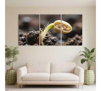 PYBILDCYJ Tableau Imprimé sur Toile Encadré Toile tendue sur châssis Germination de graine en gros plan avec pousse et embryon Ensemble 3 Pièces, Déco Moderne pour Maison (40 x 60cm x3)