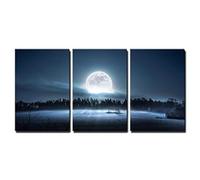 PYBILDCYJ Triptyque Sans Cadre en Toile Salon Contemporain Impression HD Lune qui se lève sur la forêt Decoration Murale Chambre Salle De Bain Cuisine (40 x 60cm x3)
