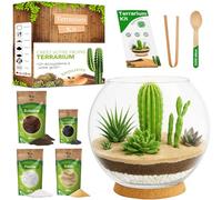PYEF CRAFTS Kit terrarium plantes succulentes et cactus DIY - Ecosystème désertique en verre - Aquarium naturel pour plantes souches et cactus - Jardin éternel