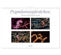 Pygmäenseepferdchen, kleines Pferd ganz groß (Wandkalender 2026 DIN A4 quer), CALVENDO Monatskalender: Pygmäenseepferdchen ist eines der kleinsten Seepferdchen, üblicherweise kleiner als 2 cm