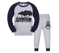 Pyjama 2 pièces pour Enfants Ensemble Deux Pyjamas Manches Longues Coton Biologique Doux Haut Col Rond Pantalon Dinosaure Requin Voitures et Jeunes