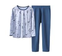 Pyjama d'hiver Thermique pour garçon avec imprimé Doux et Extensible à Manches Longues Deux pièces pour Un Confort Absolu à la Maison (Sky Blue, 12-13 Years)