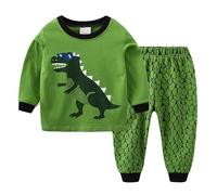 Pyjama Enfant Garcon 1 a 6 Ans Dinosaure Ensemble sous Vetement Garcon Thermique Leger Tee Shirt Manche Longue Animal Haut Top t-Shirts col Rond et Pantalons Vetement de Nuit (Green, 2-3 Years)