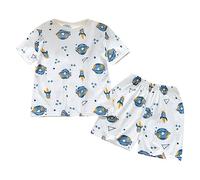 pyjama enfant garcon ete dinosaure leger doux ensembles fille 6 mois à 4 ans t-shirts à manches courtes garçon col rond short enfant garçon decontracte tenue vetement loungewear (Blue, 18-24 Months)
