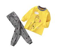 Pyjama Garçon Tenues Ensemble 2 pièces Garçons Coton Loungewear décontracté Tenue en Doux T Shirt Tops et Pjs Shorts Dinosaure Requin Voitures Vêtements De Maison