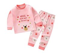 Pyjama Garçon Vêtement de Nuit Enfant Loungewear décontracté Tenue Unisexe Confortable et Doux Tee Shirt Manches Longues Ensembles Dinosaure Requin Voitures Ensemble vêtements