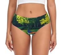 Pyjwyfmy Lake With Boats Canoes Park Print Slip pour femmes, culottes en coton mélangé pour femmes, sous-vêtements pour dames, noir, 3XL/5XL