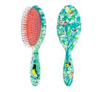 Pylones - Ladypop Large - Brosse à Cheveux - Birds