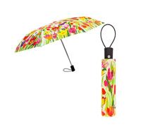 Pylones Parapluie pliant - Parapli